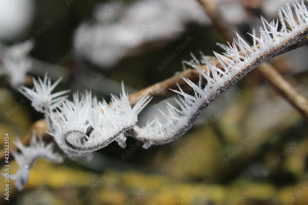 Naklejka premium spitze Eiskristalle im Winter