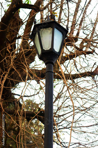 Lamp post at Darjeeling Mall photo