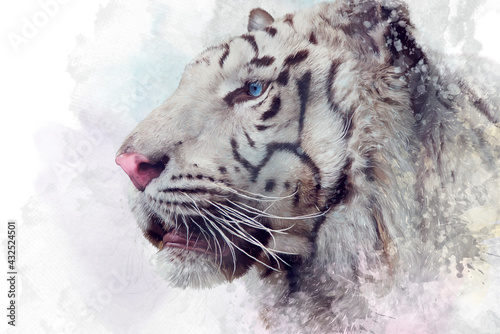 White tiger illustration on white background