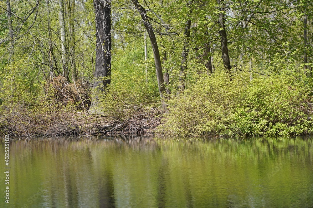 Sonnige grüne Wasserlandschaft im Großen Tiergarten in Berlin im Frühling