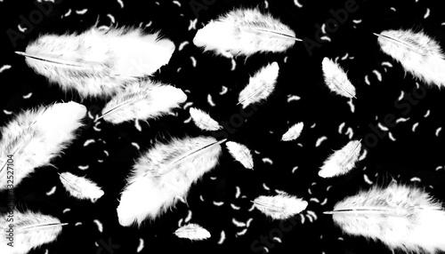Feather flying black background