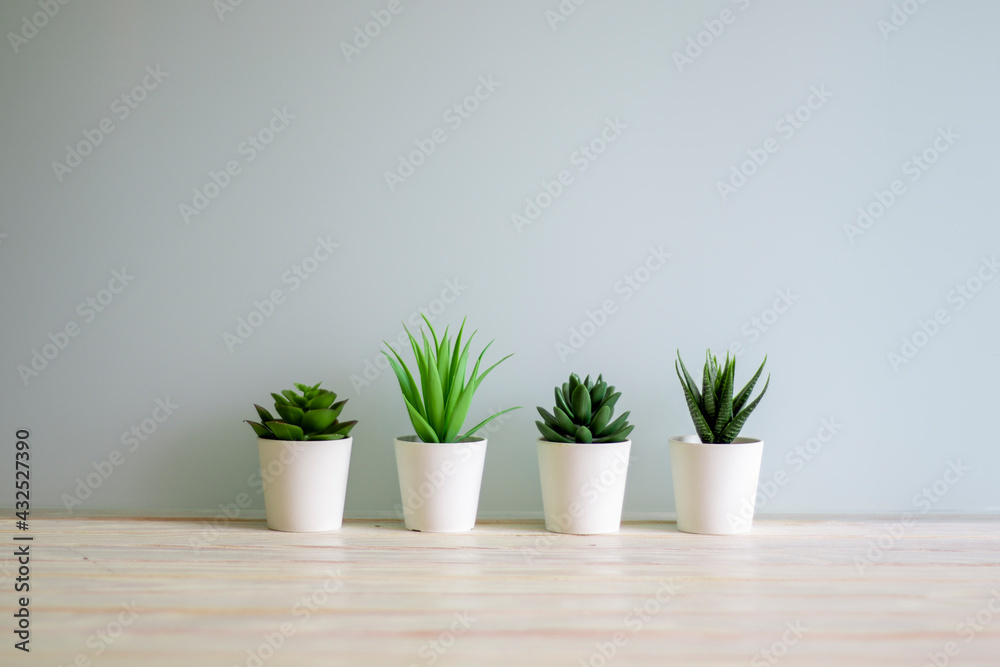 Wooden desk table top with tree pot on white wall, with copy space Wooden desk table top with tree pot on white wall, with copy space