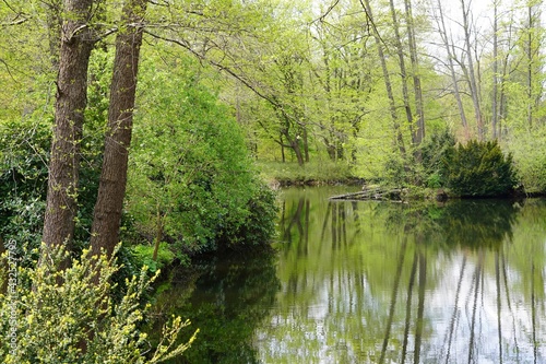 Sonnige grüne Wasserlandschaft im Großen Tiergarten in Berlin bei Sonnenschein