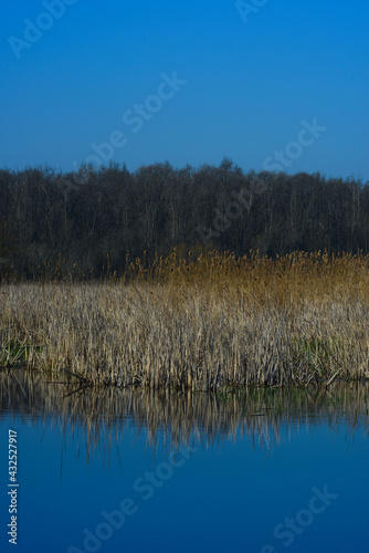 lake view in spring, reflections in the lake. Terkos lake.