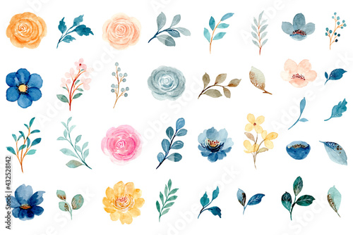Watercolor flower and leaves element collection
