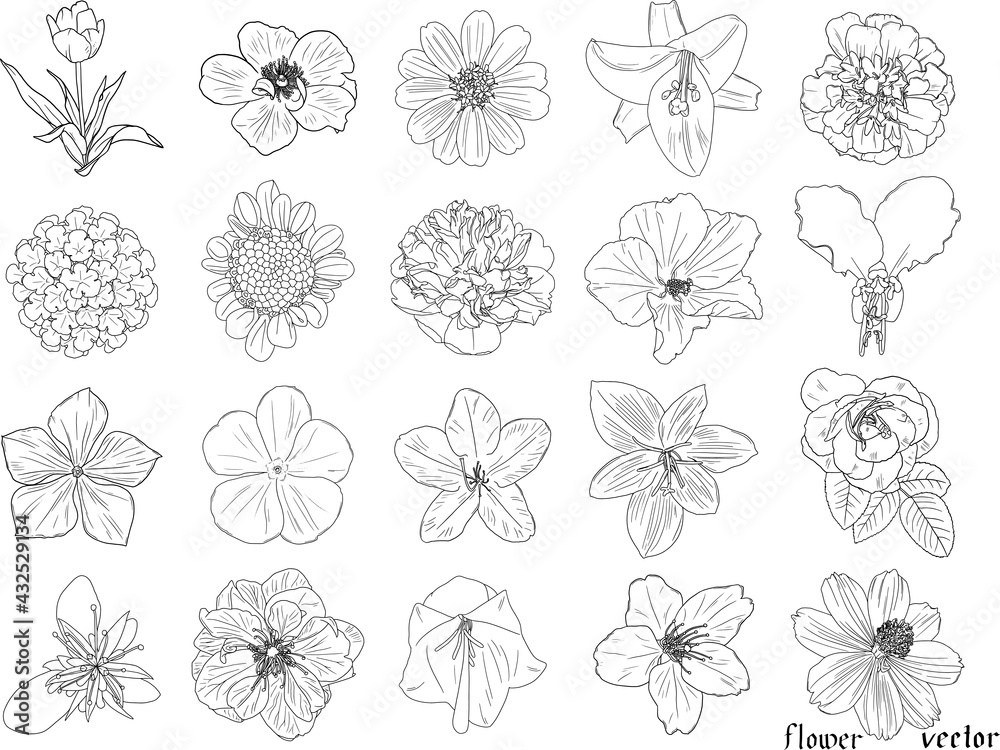 繊細な花の白黒の線画20個セット3　ベクター素材