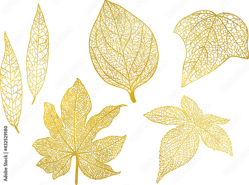 葉脈がはっきりと見える繊細な葉っぱの金色のイラストセット ベクター素材 Stock Vector Adobe Stock