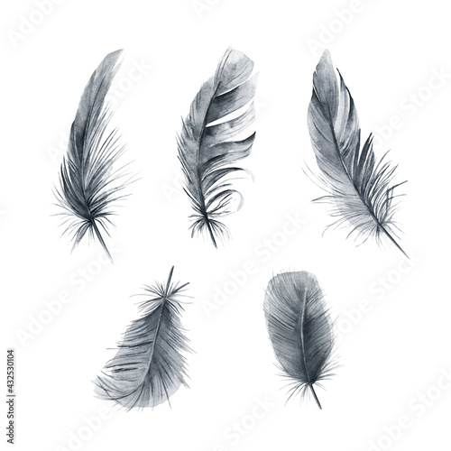 Watercolor drawing feather collection. Isolated images. For decoration, cards, invitations, textile, t-shirts
