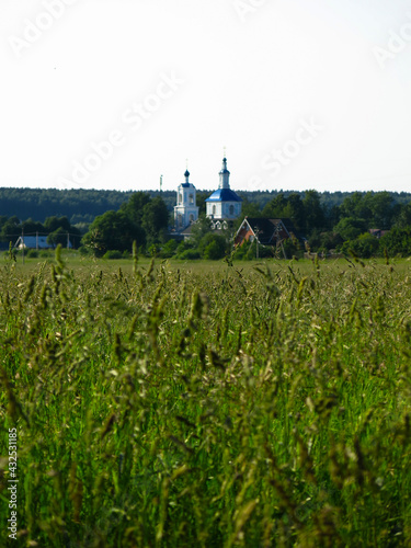 russian field in summer with a church on the background