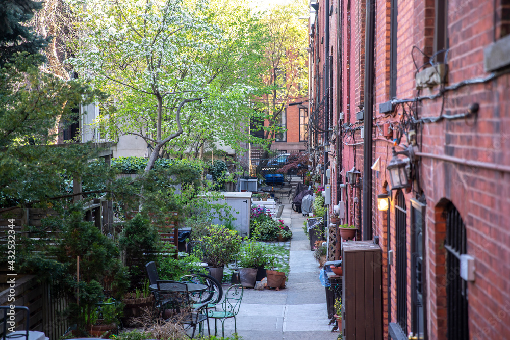 Fototapeta premium Mews in Brooklyn. Rows or courtyard of apartment buildings with lawn and trees in the middle