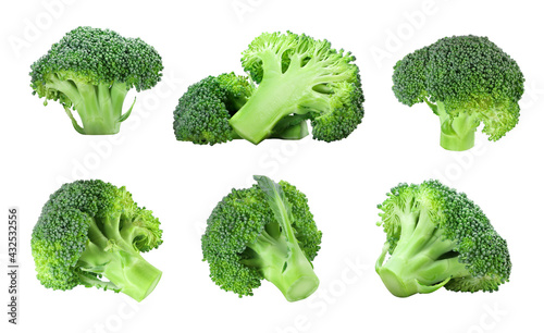 set of fresh broccoli isolated on white background.