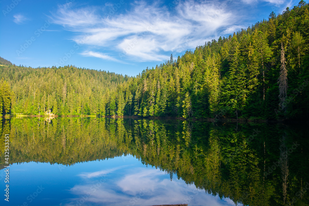 mountain lake in the morning. summer landscape with forest reflecting in the water. nature scenery of Synevyr National park in Carpathian mountains, ukraine. sunny weather with clouds on blue sky