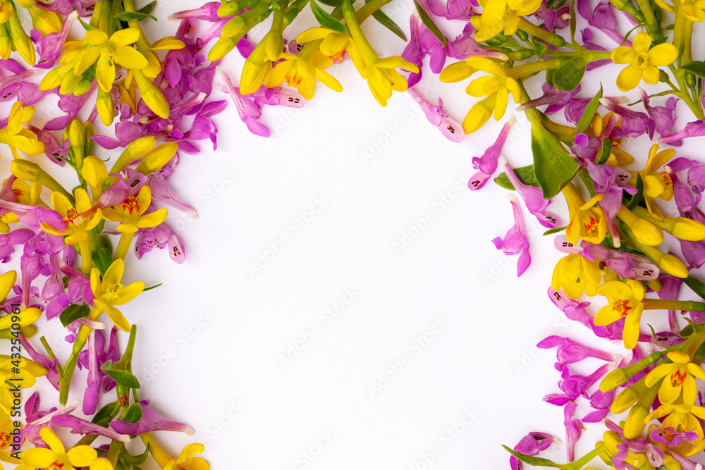 frame consisting of many small twigs with yellow and pink spring flowers arranged in a chaotic manner on a white background 