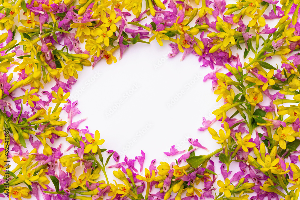 frame consisting of many small twigs with yellow and pink spring flowers arranged in a chaotic manner on a white background 
