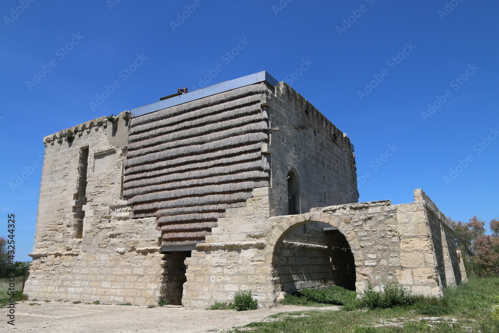 Beauduc Camargue