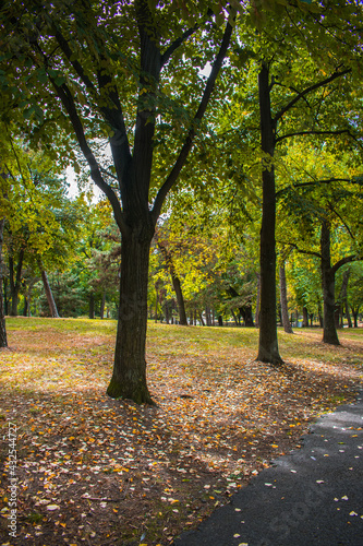 autumn in the park © Nikola