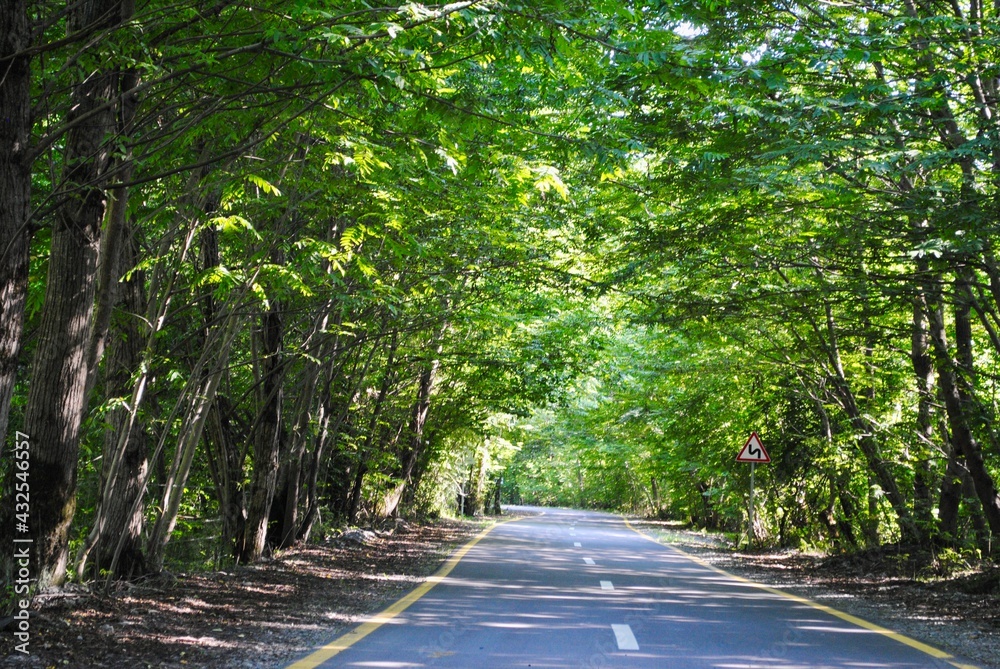 A beautiful treelined country road with sun rays seeking through the foliage. A beautiful treelined country road with sun rays seeking through the foliage.