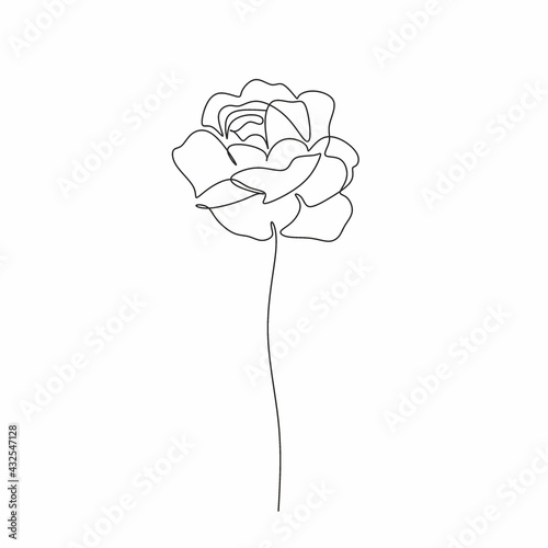 Peony Line drawing. Flower Line art vector. Peonies Botanical logo