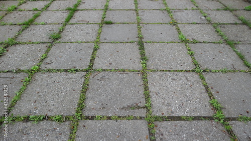  A background of concrete paving slabs with sprouted green grass from the cracks between the slabs.