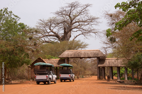 Vehículos todo-terreno en la entrada a la reserva natural de Bandia en Senegal