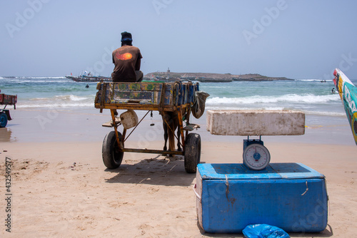 Carro de caballo espera el pescado de las barcas en la playa de Yoff en la costa de Dakar, Senegal photo