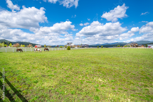 Ranch homes  barns and shops near a pasture with horses in the rural community of Newman Lake  Washington  USA  a suburb of Spokane. 