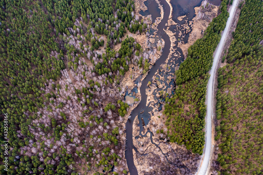 Top-down aerial drone view of green forest, river and swamp with blue sky and clouds reflection. Wild nature background