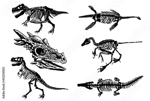 Paleontological set, graphical skeletons of dinosaurs on white background,vector fossils silhouettes