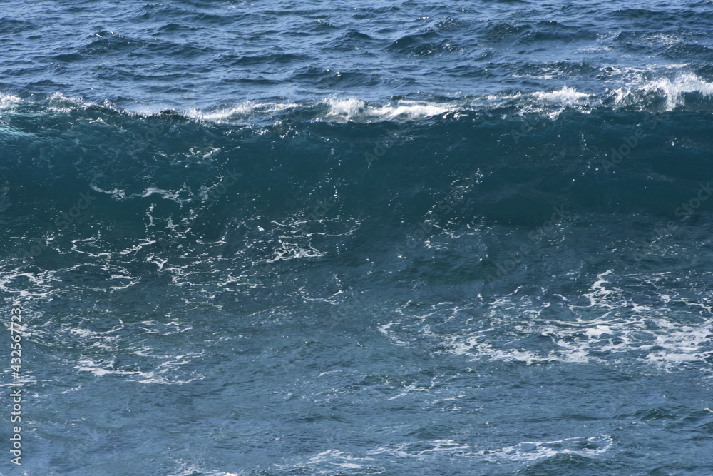 The sea, source of inspiration for the world The sea, source of inspiration for the world