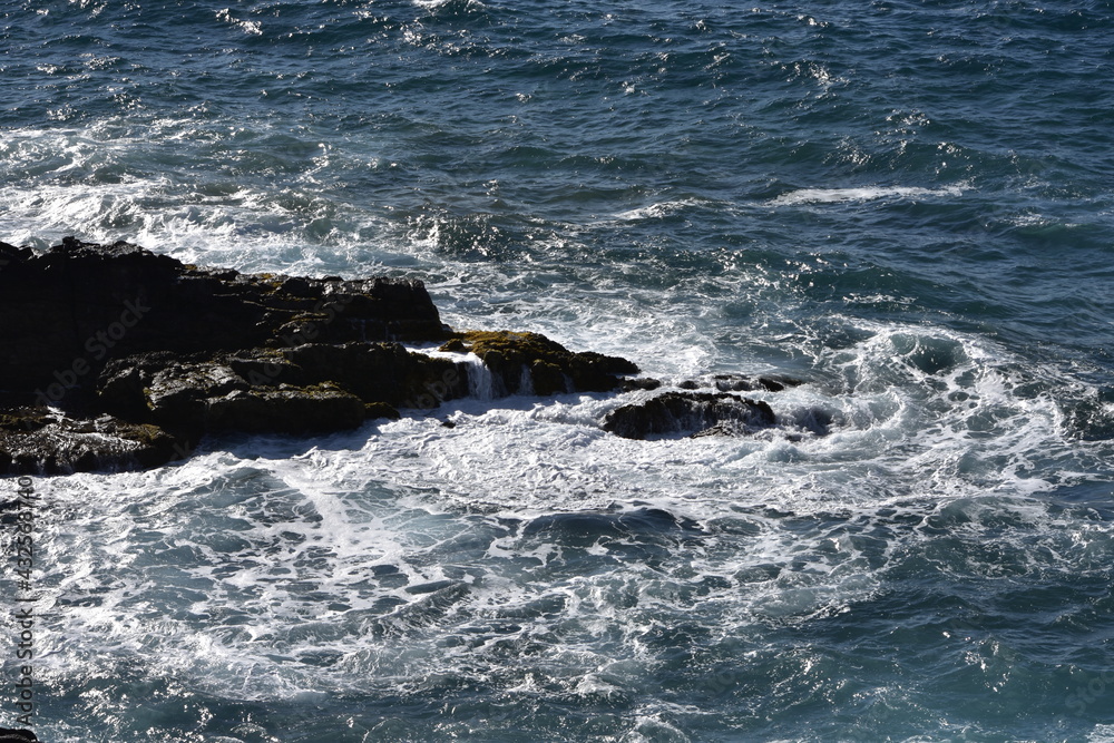 Fototapeta premium mysterious wave finally photographed