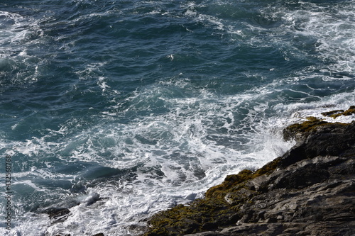 Fototapeta Naklejka Na Ścianę i Meble -  mysterious wave finally photographed