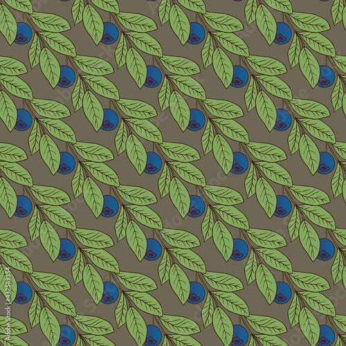 vector graphic seamless pattern with blue berry-02