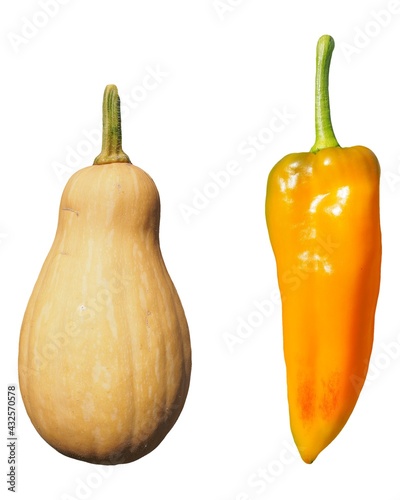 pepper and pumpkin vegetables isolated over white © Claudio Divizia
