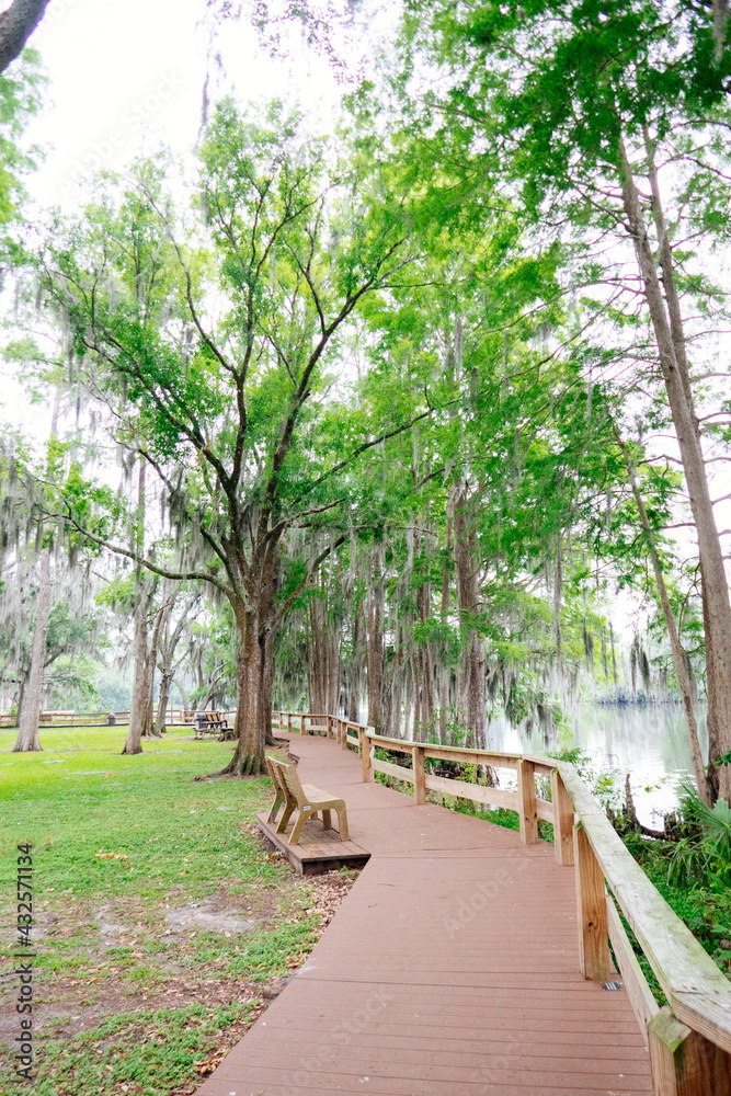 The landscape of Hillsborough river bank at Tampa, Florida