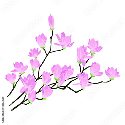 Blooming cherry. Sakura branch with flower buds. Cartoon drawing of a flowering tree in spring. Logo with japanese cherry. Tattoos  © Zukhra