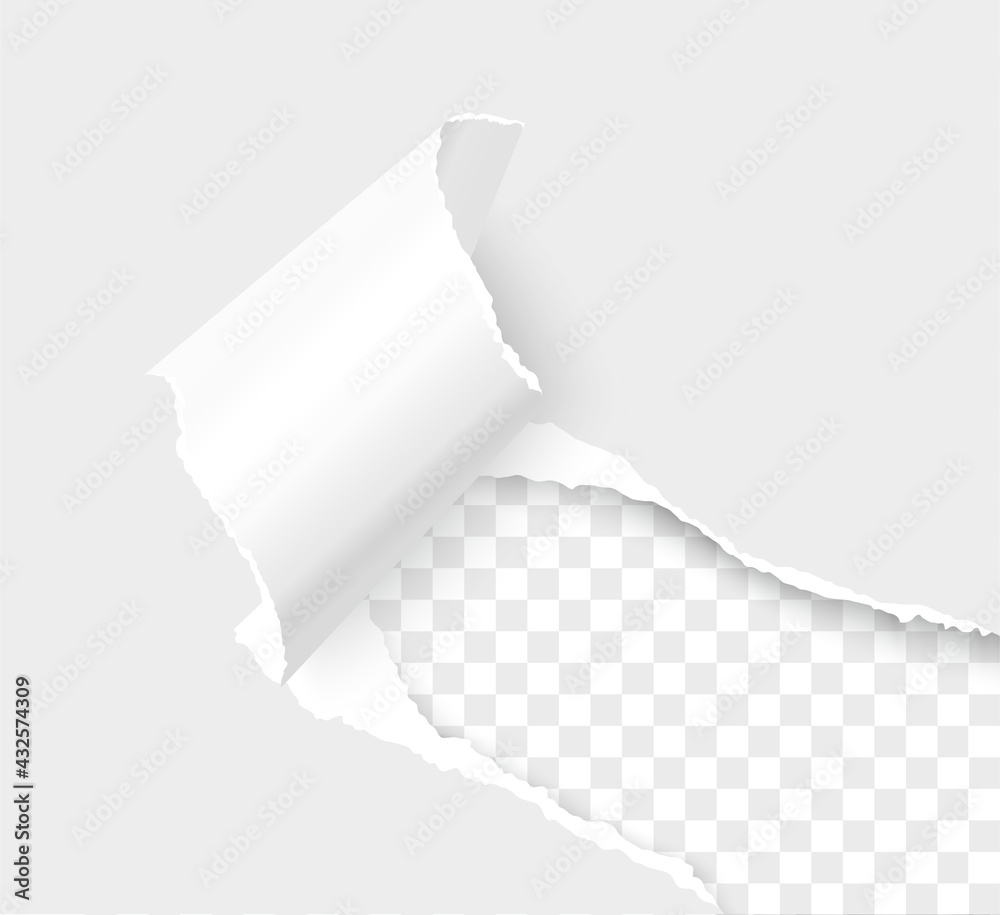 Torn paper corner with space for text. Realistic vector torn edges paper sheet