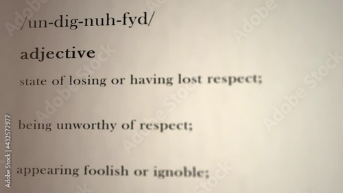 Undignified Definition