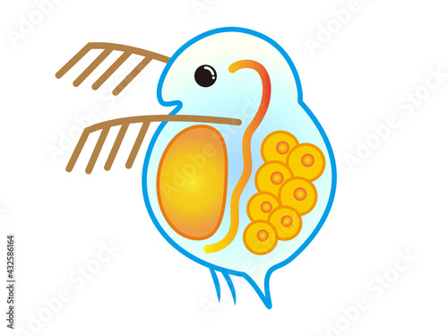 ミジンコのイラスト素材