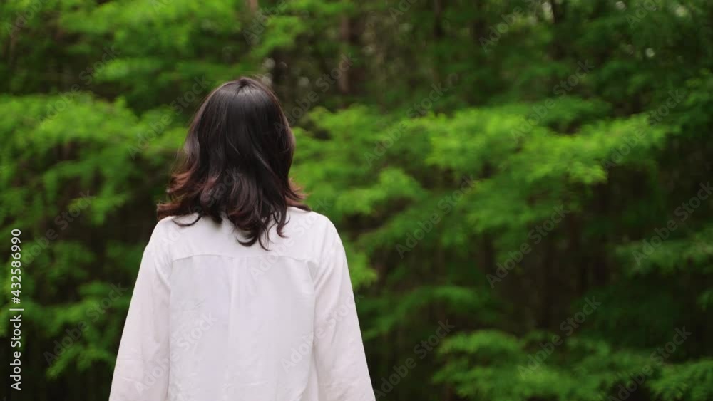 back view young asian lady walking in the park looking around slow motion of pretty young woman enjoy the nature back view young asian lady walking in the park looking around slow motion of pretty young woman enjoy the nature