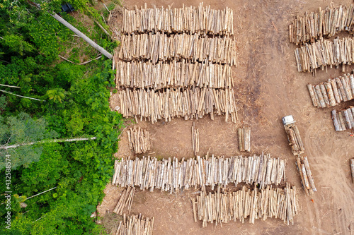 Aerial view of a log storage yard from authorized logging in an area of the Brazilian Amazon rainforest.