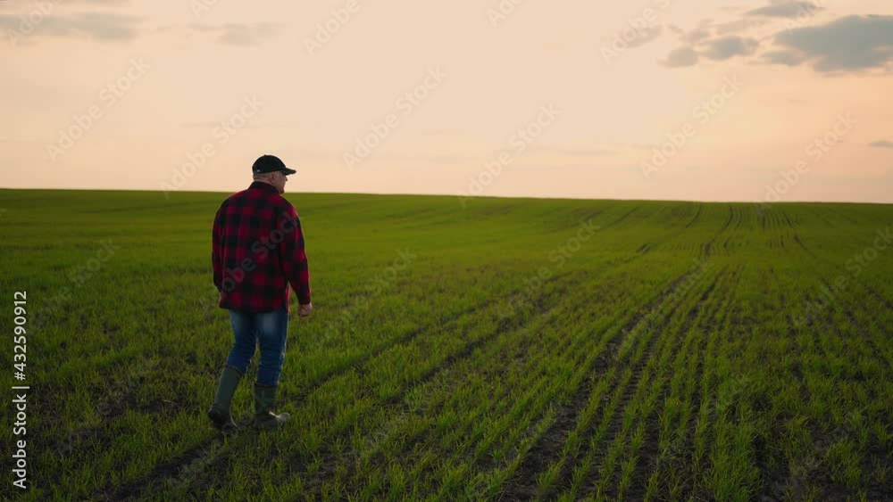 Senor a male farmer goes to the field during a drought inspecting the fields. Farmer wiping off sweat from forehead while walking on the field at sunset. Follow to male farmers feet in boots walking Senor a male farmer goes to the field during a drought inspecting the fields. Farmer wiping off sweat from forehead while walking on the field at sunset. Follow to male farmers feet in boots walking