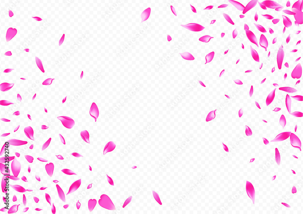 Purple Leaf Vector Transparent Background. Petal Nature Banner. Floral Wallpaper Cover. Bloom Invitation Illustration. Color Rosa Dream Congratulation.
