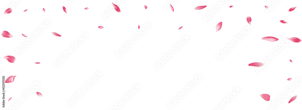 White Flower Petal Vector White Background. Pastel Beauty Rose Petal Product. Lotus Petal Flying Card. Fly Peach Petal Template.