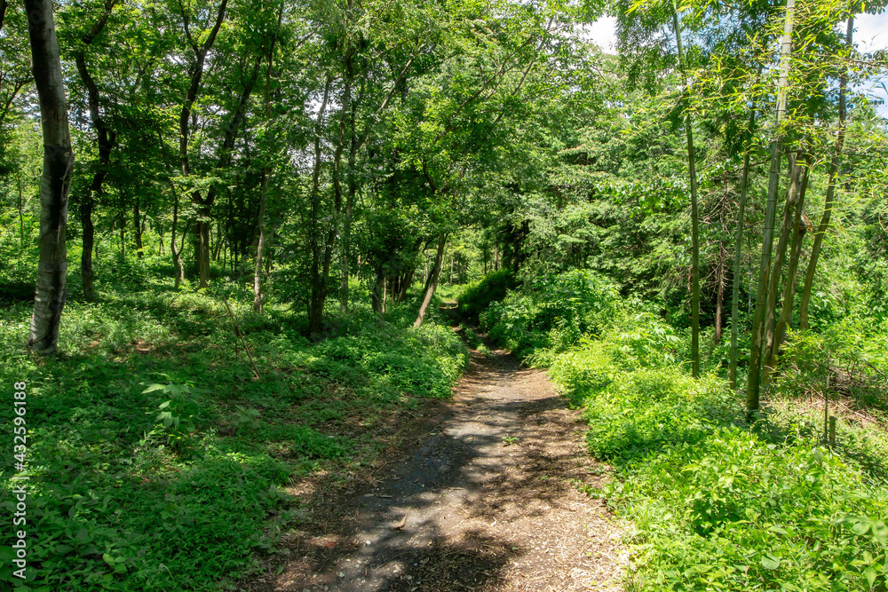 東京都西多摩郡瑞穂町の六道山公園と展望台 東京都西多摩郡瑞穂町の六道山公園と展望台