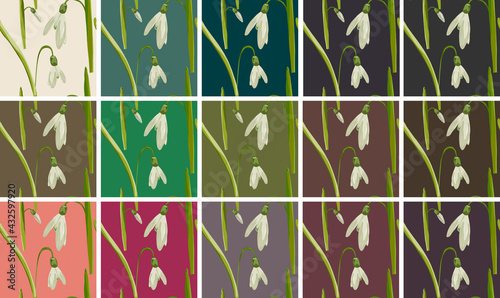 Set of 15 Galanthus nivalis, Snopwdrop Flower Realistic Botanical Seamless Pattern Bacground Tiles photo