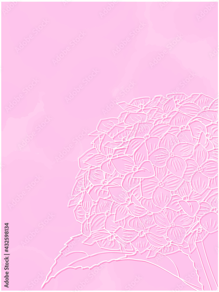 Vecteur Stock 紫陽花の白線画_背景ピンク_縦 | Adobe Stock