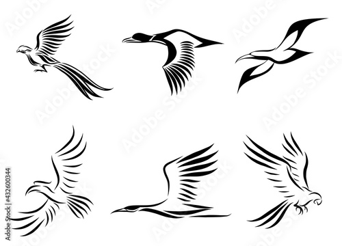 Set of six vector images of various birds flying such as pheasant seagull mallard crane hornbill and macaw Good use for symbol mascot icon avatar and logo