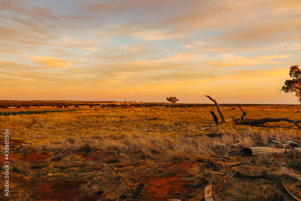 Landscape image of stark Australian landscape at sunset. Dry fields paddocks in times of drought.