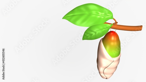 3d illustration of pupa level butterfly life cycle 