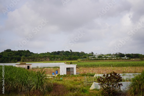 宮古島の昔ながらの田園風景 © gypsyhirano